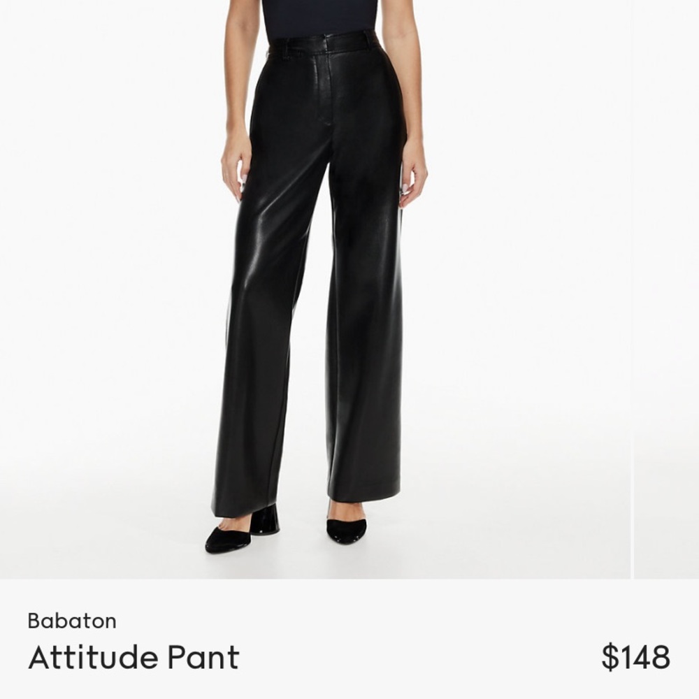 Aritiza Leather pants